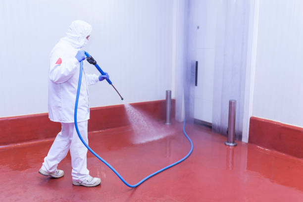 Professional Pressure Washing Services in Glennville, GA